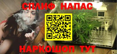 СК Тула