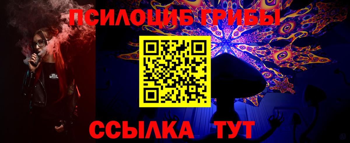 Псилоцибиновые грибы Cubensis  Вход с VPN  Муравленко 